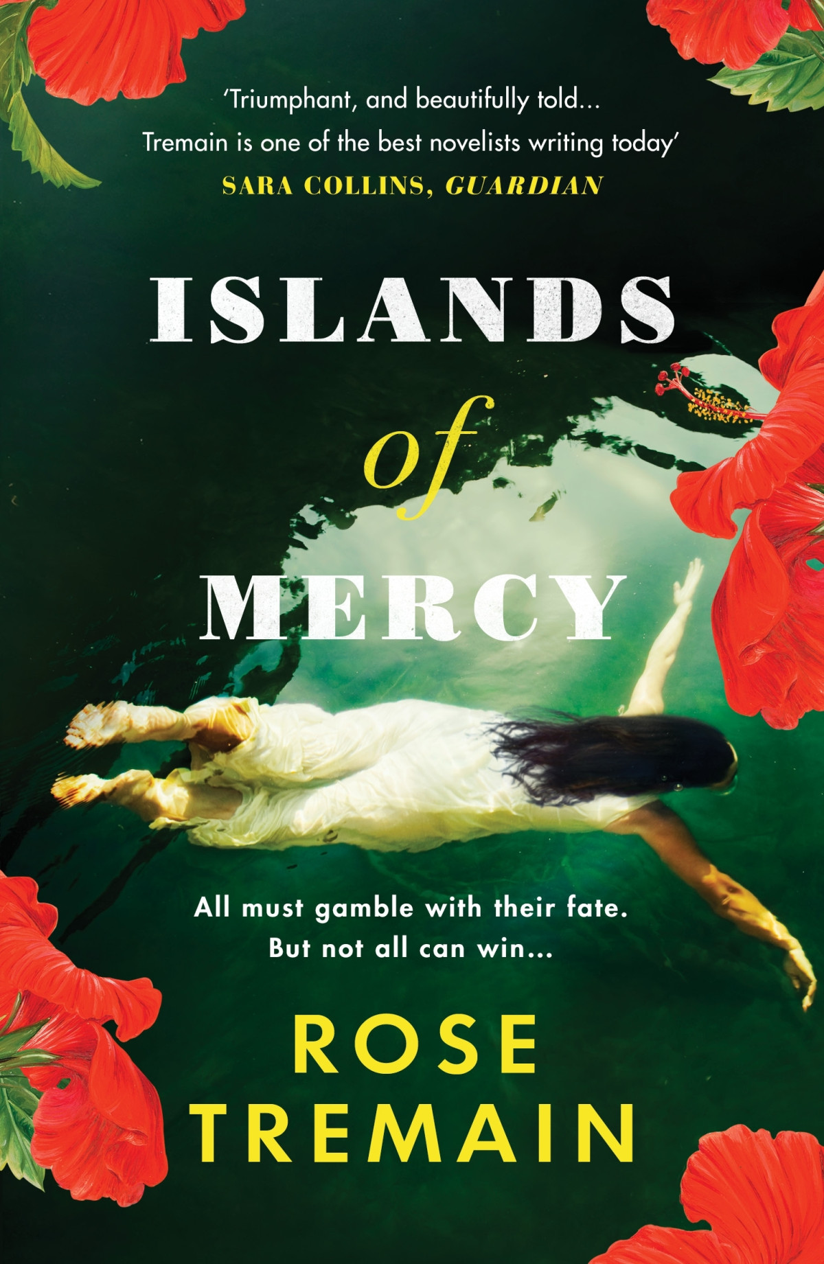 Islands Of Mercy Rose Tremain