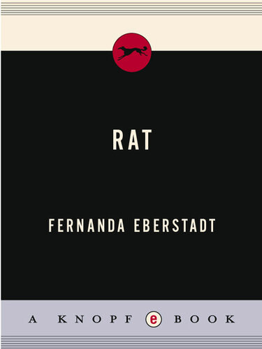 Rat Fernanda Eberstadt