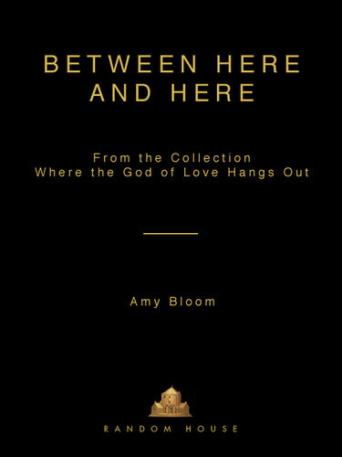 Between Here And Here Amy Bloom