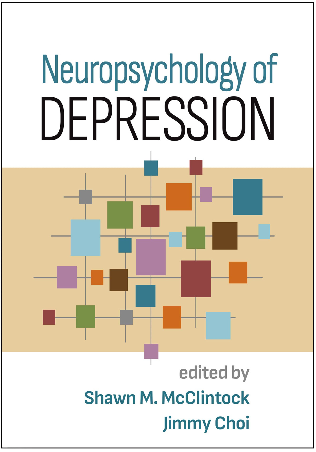 Neuropsychology Of Depression Shawn M Mcclintock Jimmy Choi
