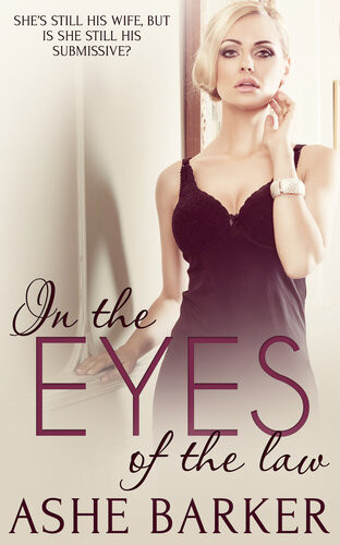 In The Eyes Of The Law Ashe Barker