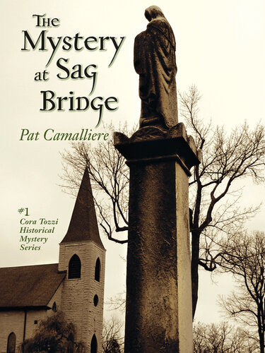 The Mystery At Sag Bridge Pat Camalliere