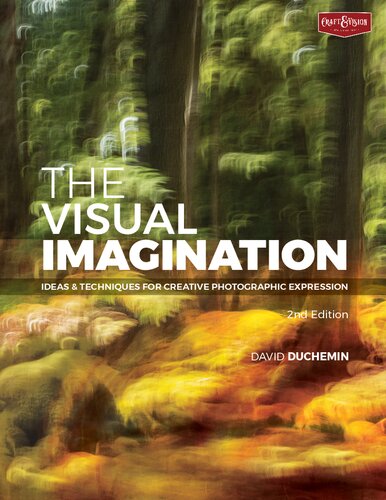 The Visual Imagination Ideas And Techniques For Creative Photographic Expression 2nd Edition David Duchemin