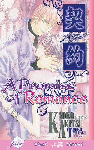 A Promise Of Romance Kyoko Akitsu
