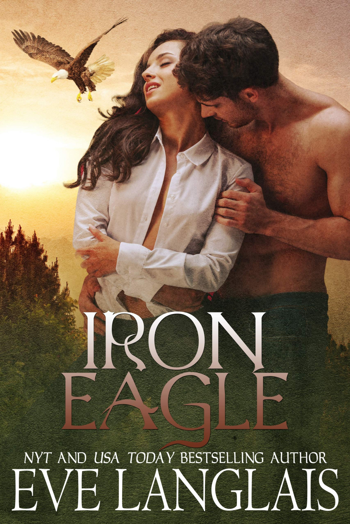 Iron Eagle Eve Langlais