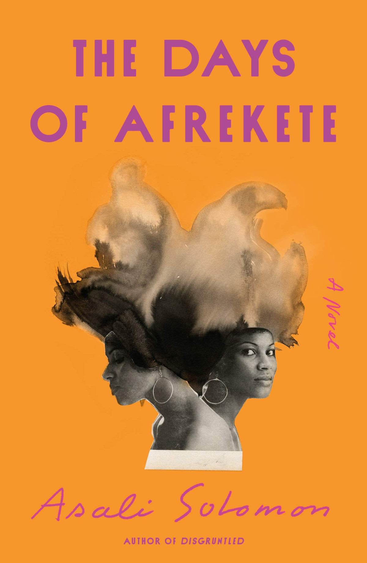 The Days Of Afrekete A Novel Asali Solomon