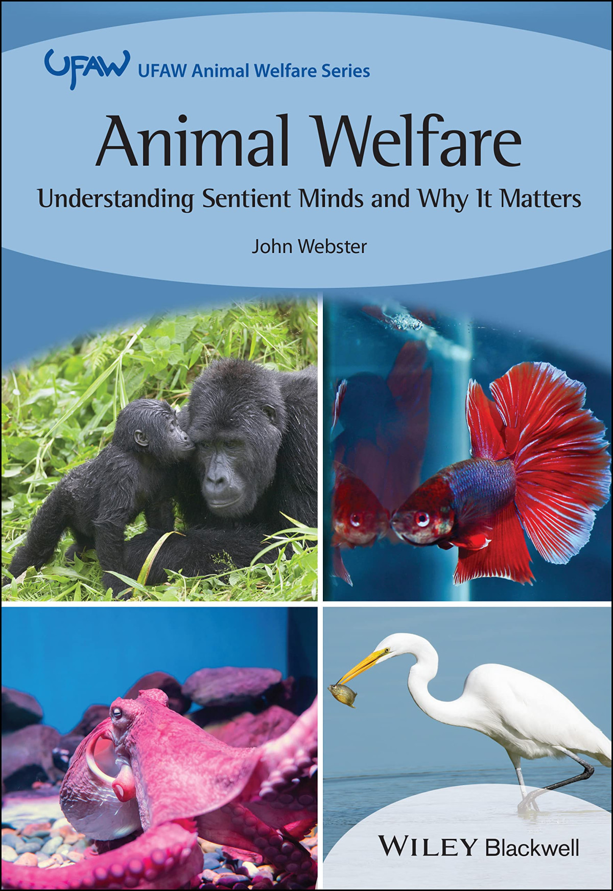 Animal Welfare Understanding Sentient Minds And Why It Matters John Webster