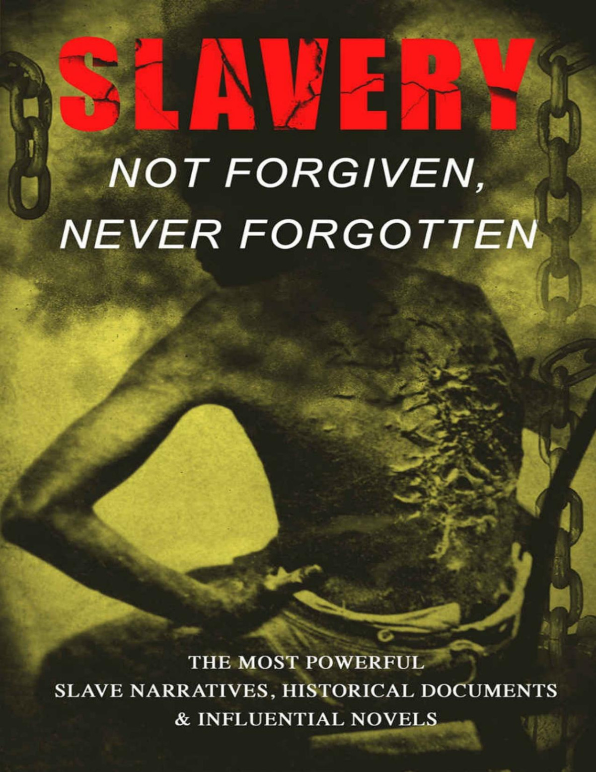 Slavery Not Forgiven Never Forgotten The Most Powerful Slave Narratives Historical Documents Influential Novels Frederick Douglass