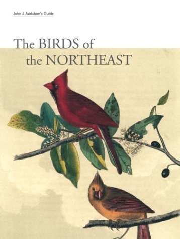 The Birds Of The Northeast Julien Tavener