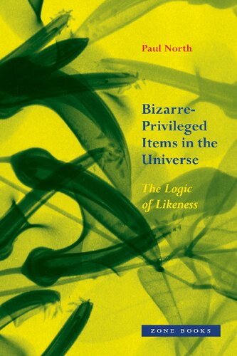 Bizarreprivileged Items In The Universe The Logic Of Likeness First Edition Paul North