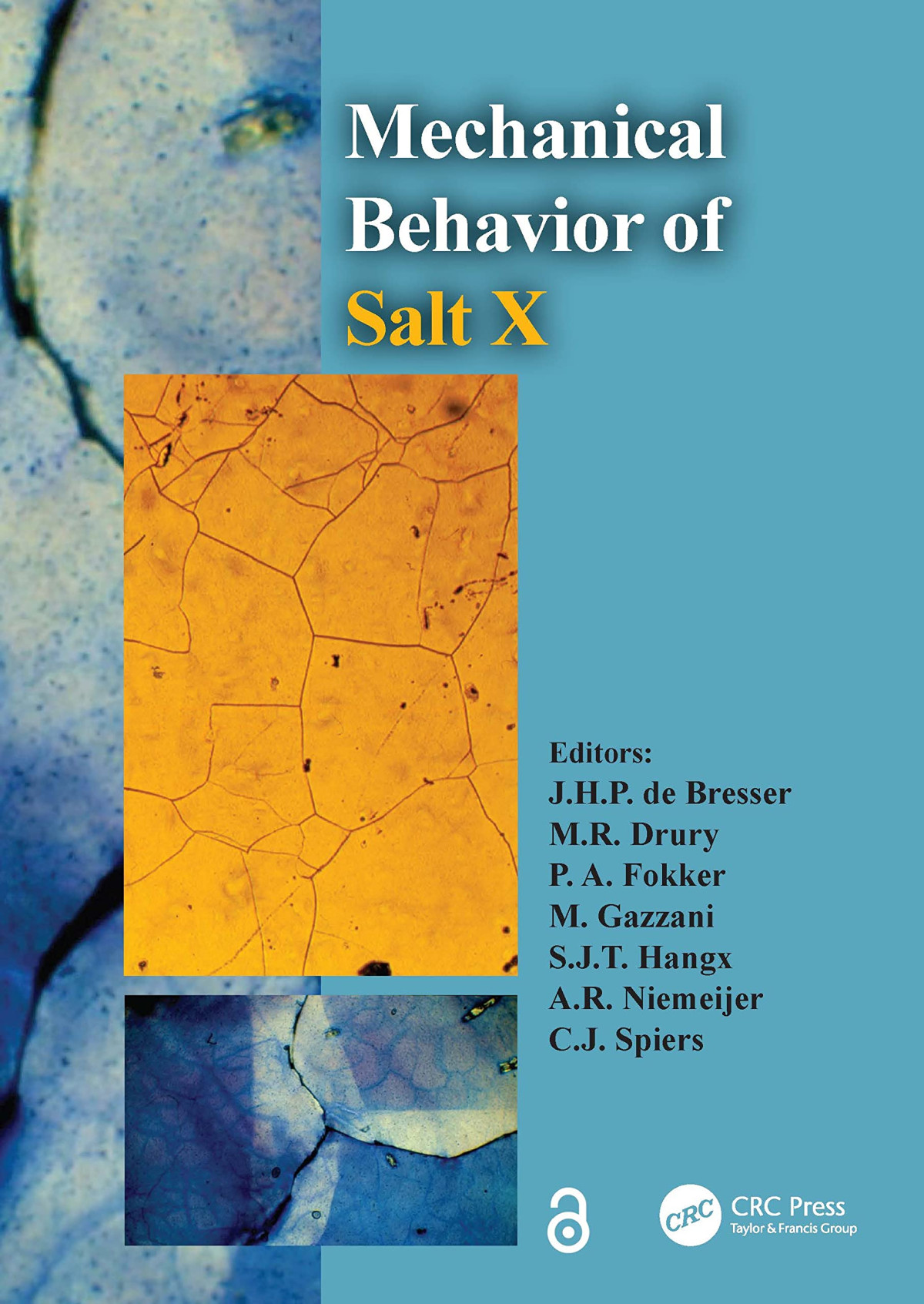 The Mechanical Behavior Of Salt X Jhp De Bresser Mr Drury