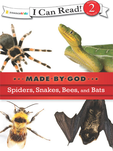 Spiders Snakes Bees And Bats Various Authors