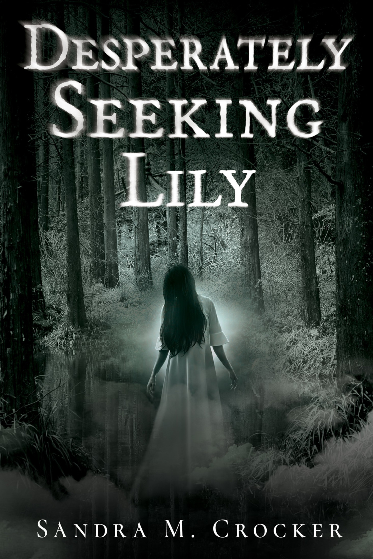 Desperately Seeking Lily Sandra Crocker