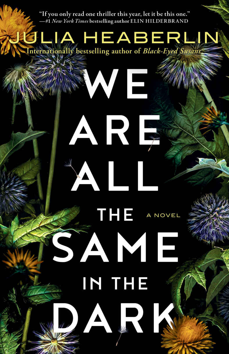We Are All The Same In The Dark Julia Heaberlin