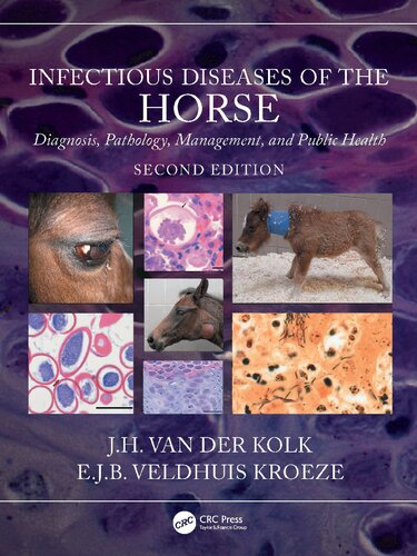 Infectious Diseases Of The Horse 2nd Jh Van Der Kolk Ejb Veldhuis Kroeze