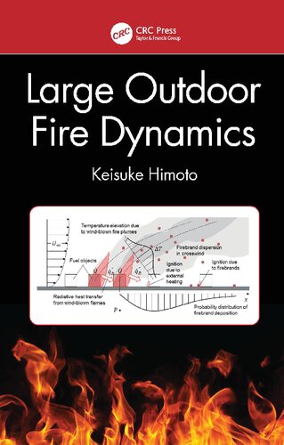 Large Outdoor Fire Dynamics Keisuke Himoto
