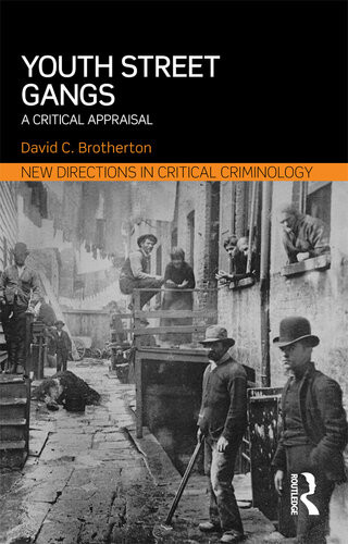 Youth Street Gangs A Critical Appraisal New Directions In Critical Criminology 1st Edition David Brotherton