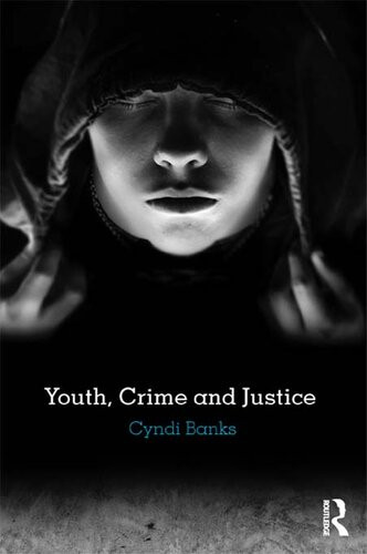 Youth Crime And Justice Cyndi Banks