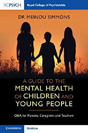 A Guide To The Mental Health Of Children And Young People Meinou Simmons