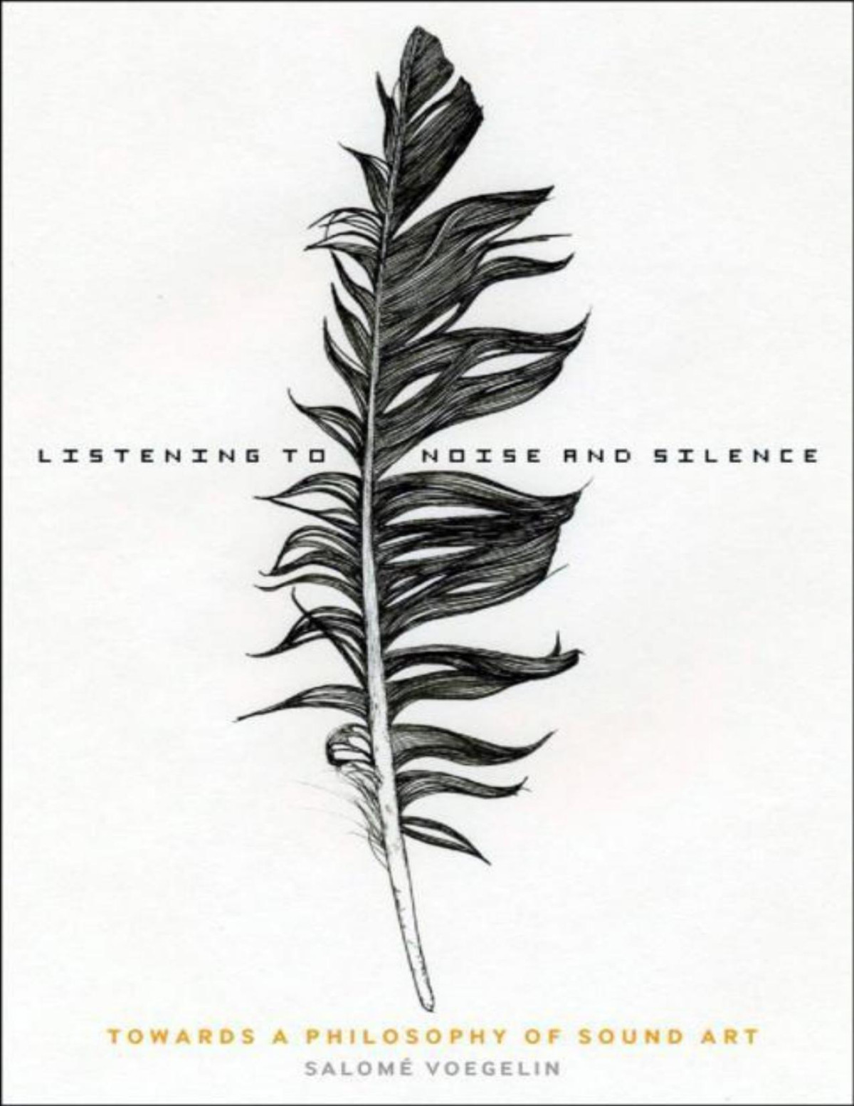 Listening To Noise And Silence Salome Voegelin