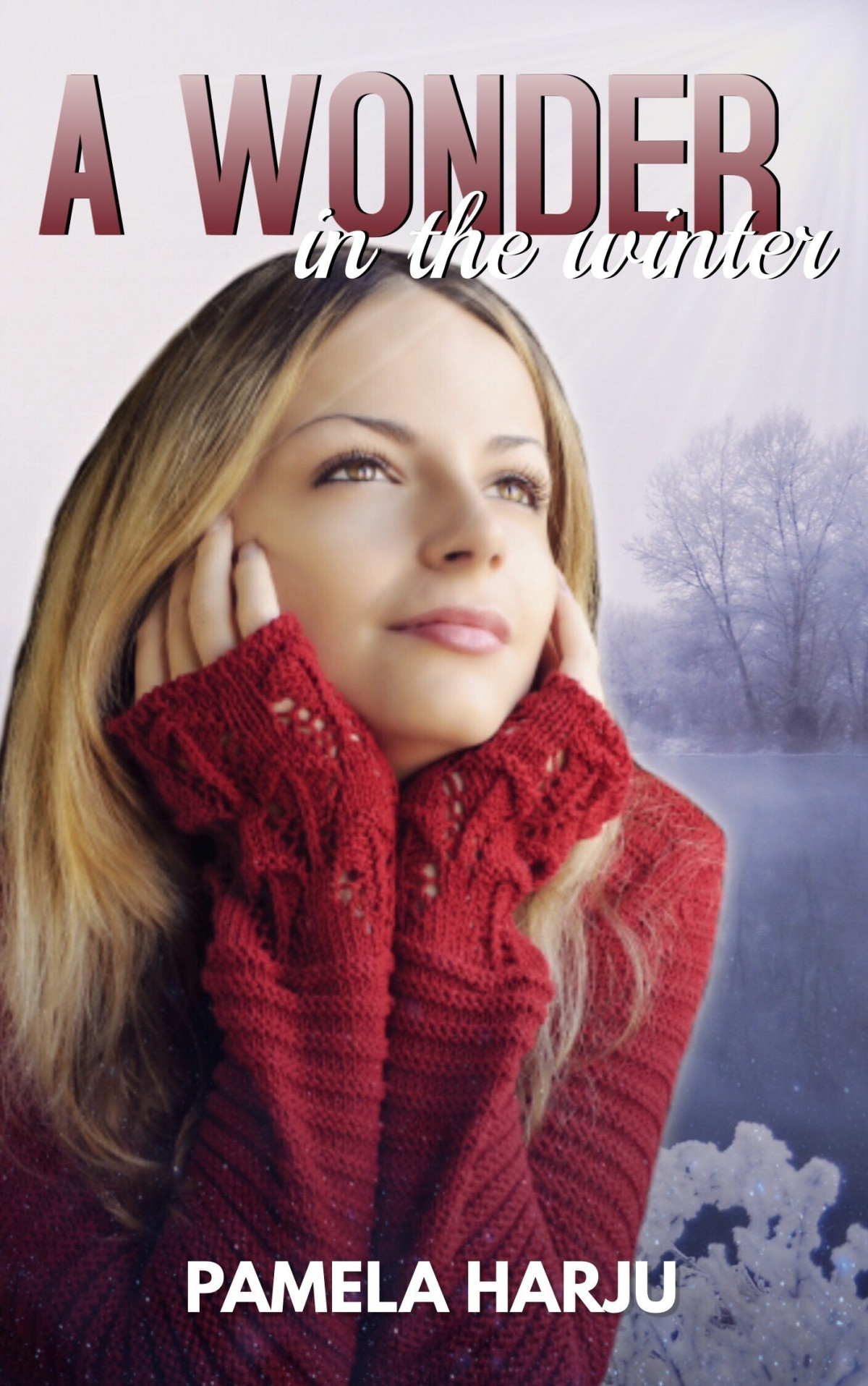 A Wonder In The Winter Pamela Harju