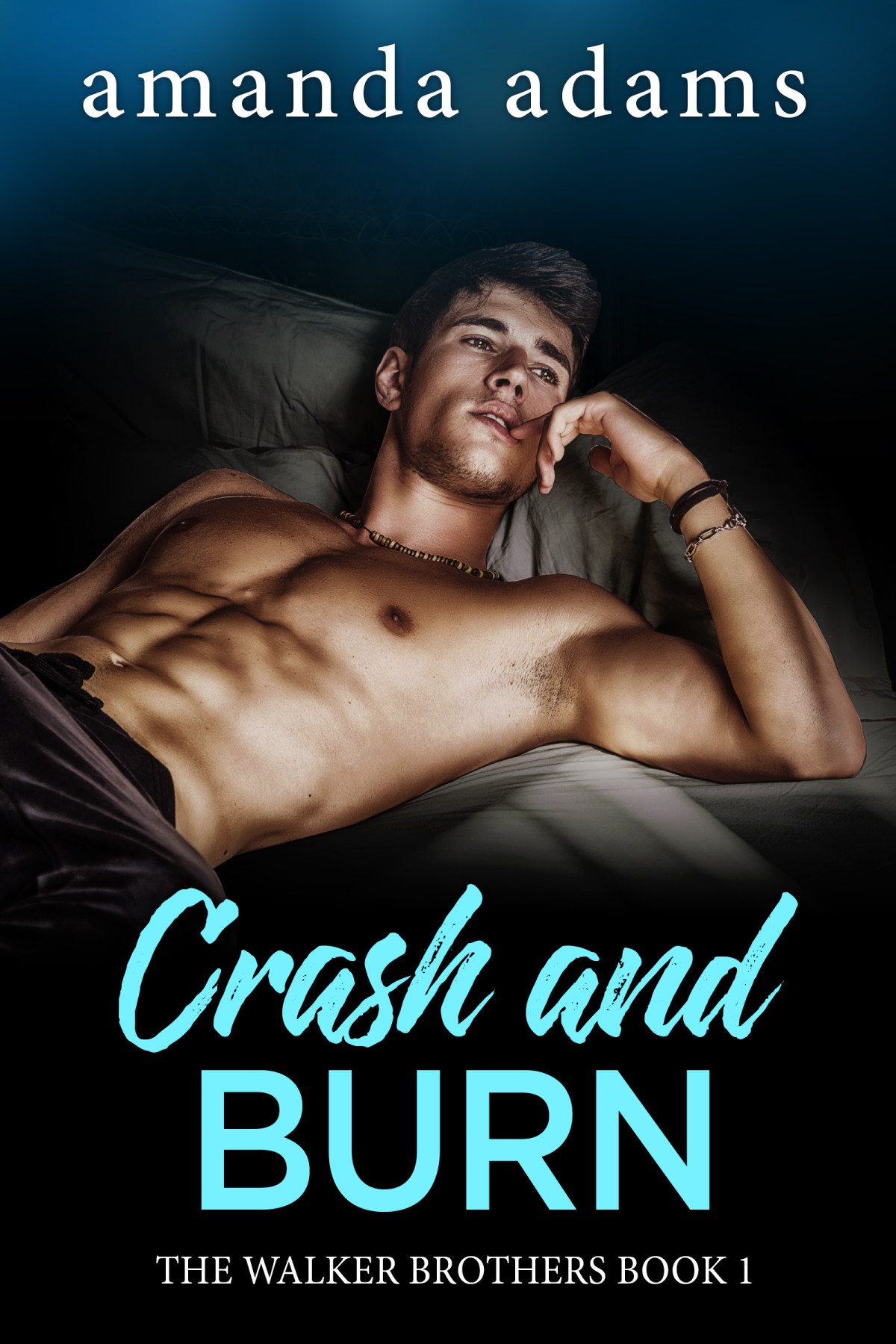 Crash And Burn Amanda Adams