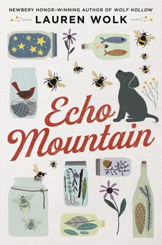 Echo Mountain Lauren Wolk