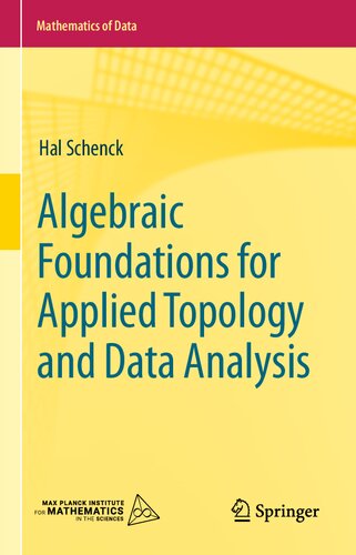 Algebraic Foundations For Applied Topology And Data Analysis 1st Edition Hal Schenck