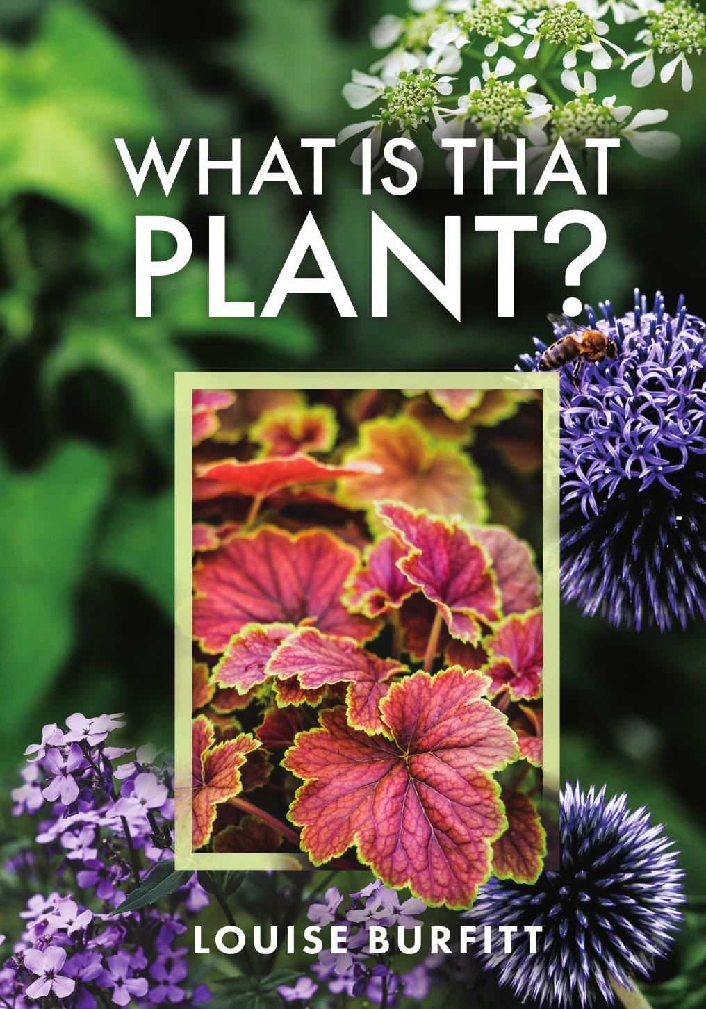 What Is That Plant Louise Burfitt