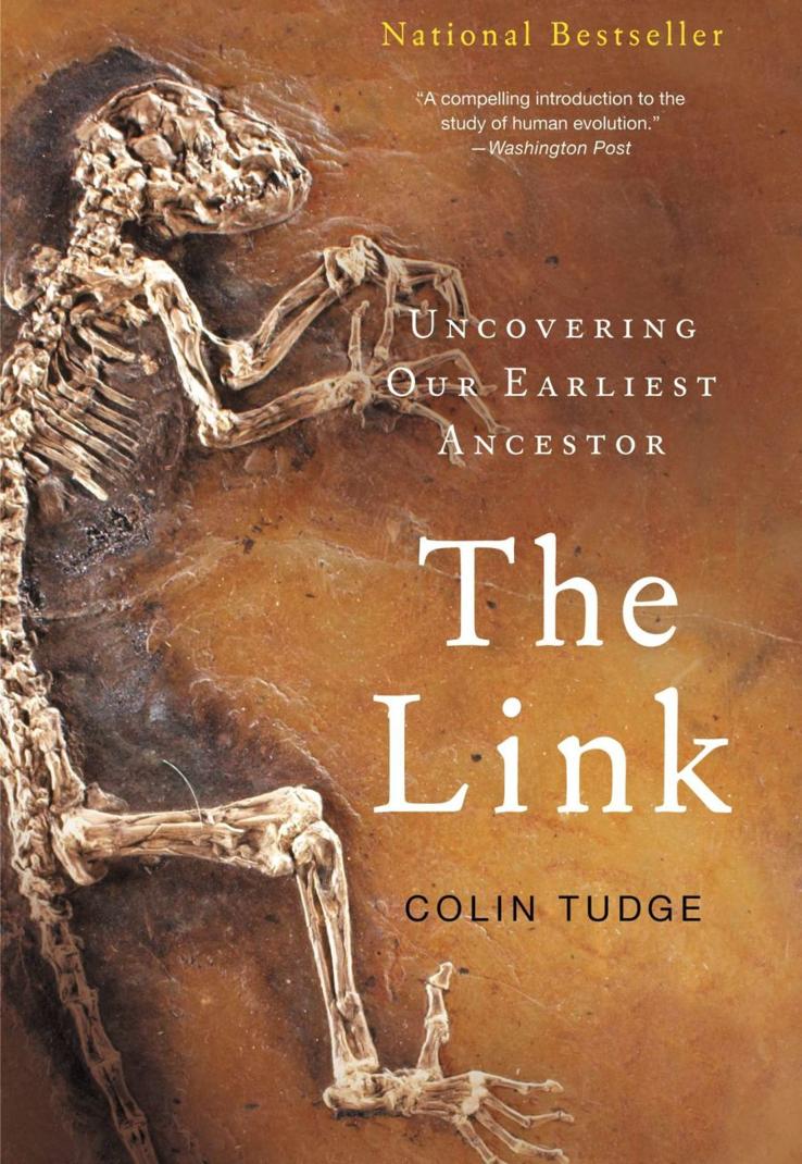 The Link Colin Tudge