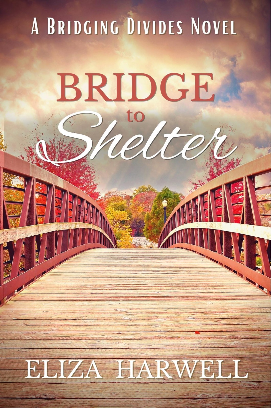 Bridge To Shelter Bridging Divides 01 Eliza Harwell