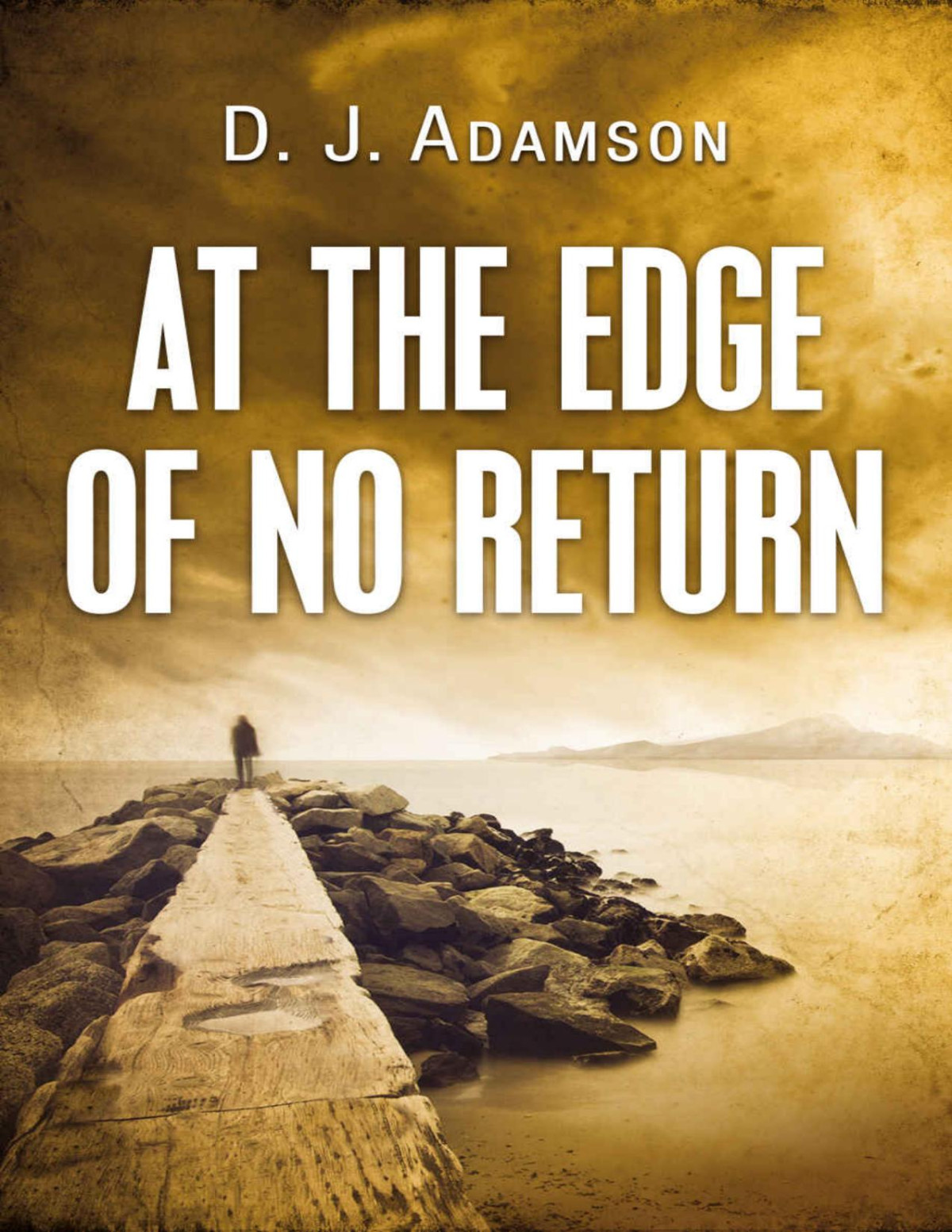 At The Edge Of No Return D J Adamson