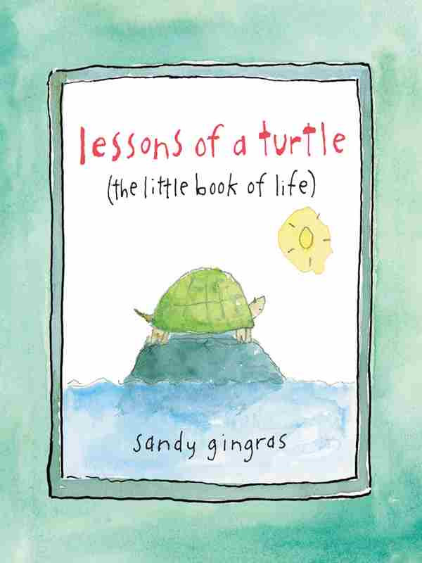 Lessons Of A Turtle The Little Book Of Life Sandy Gingras