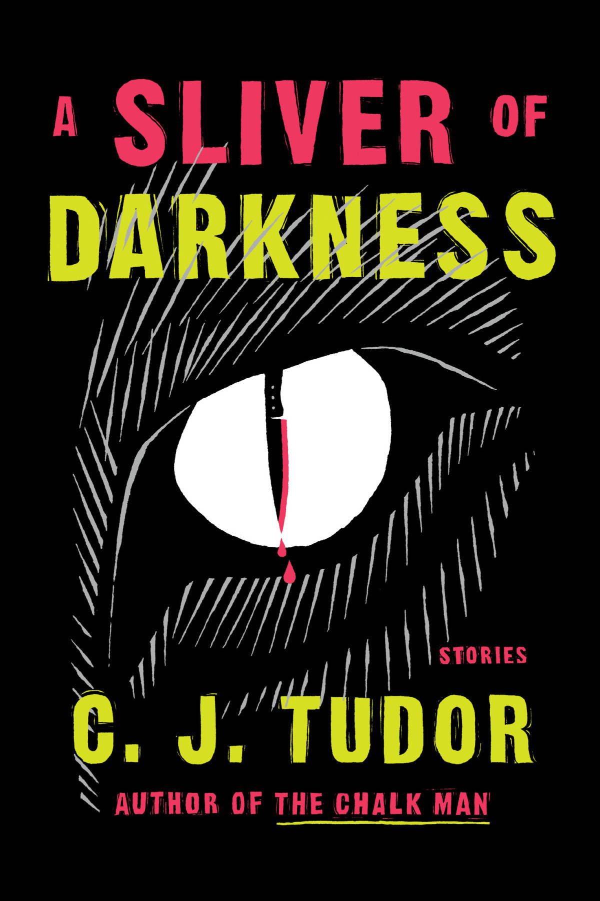 A Sliver Of Darkness C J Tudor