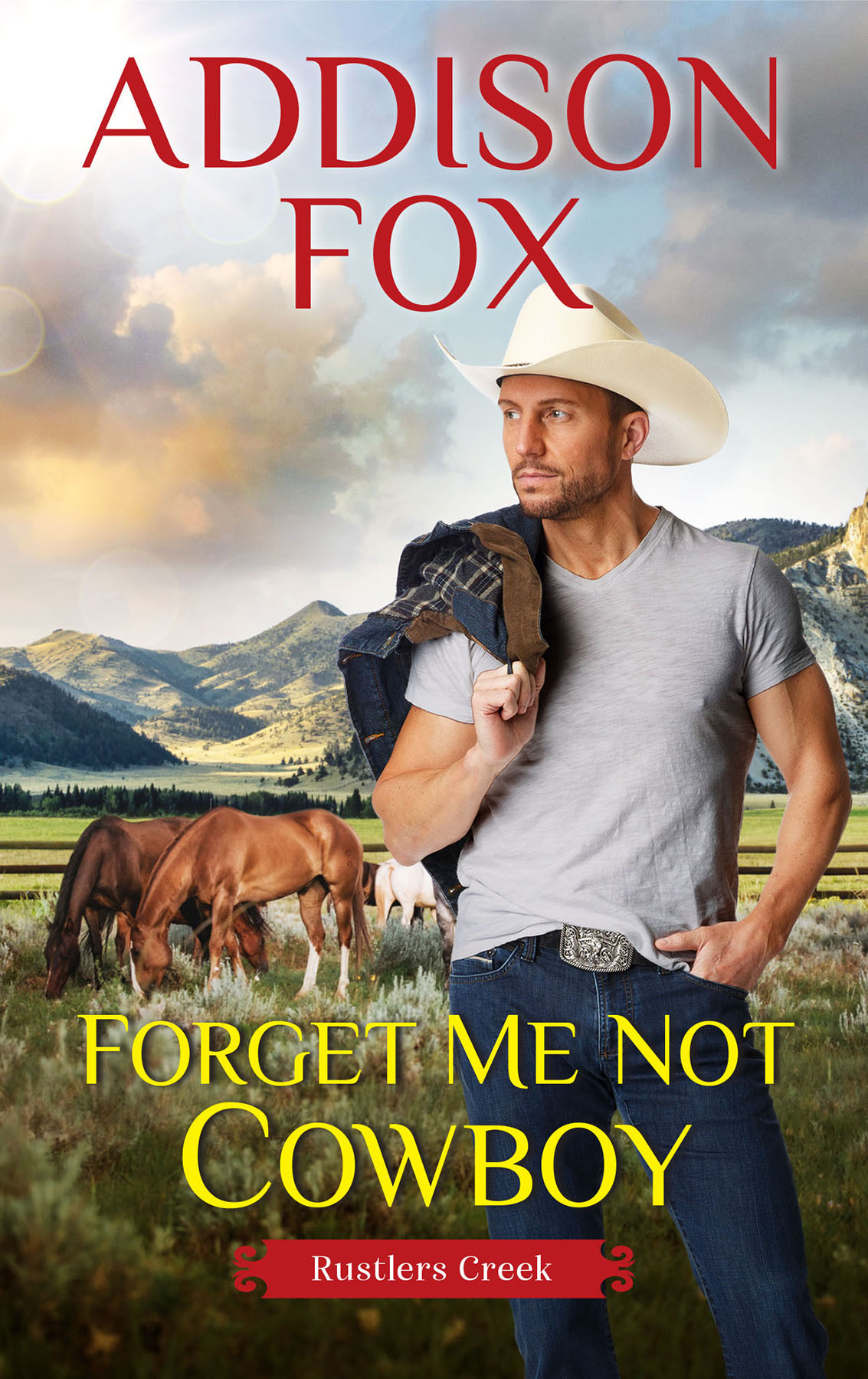 Forget Me Not Cowboy Rustlers Creek 02 Addison Fox