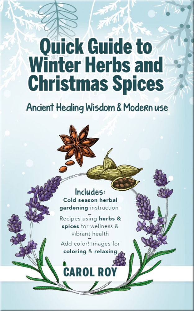 Quick Guide To Winter Herbs Christmas Spices Ancient Healing Wisdom Modern Use Cold Season Herbal Gardening Instructions Spice Herbal Recipes For Wellness Vibrant Health Carol Roy