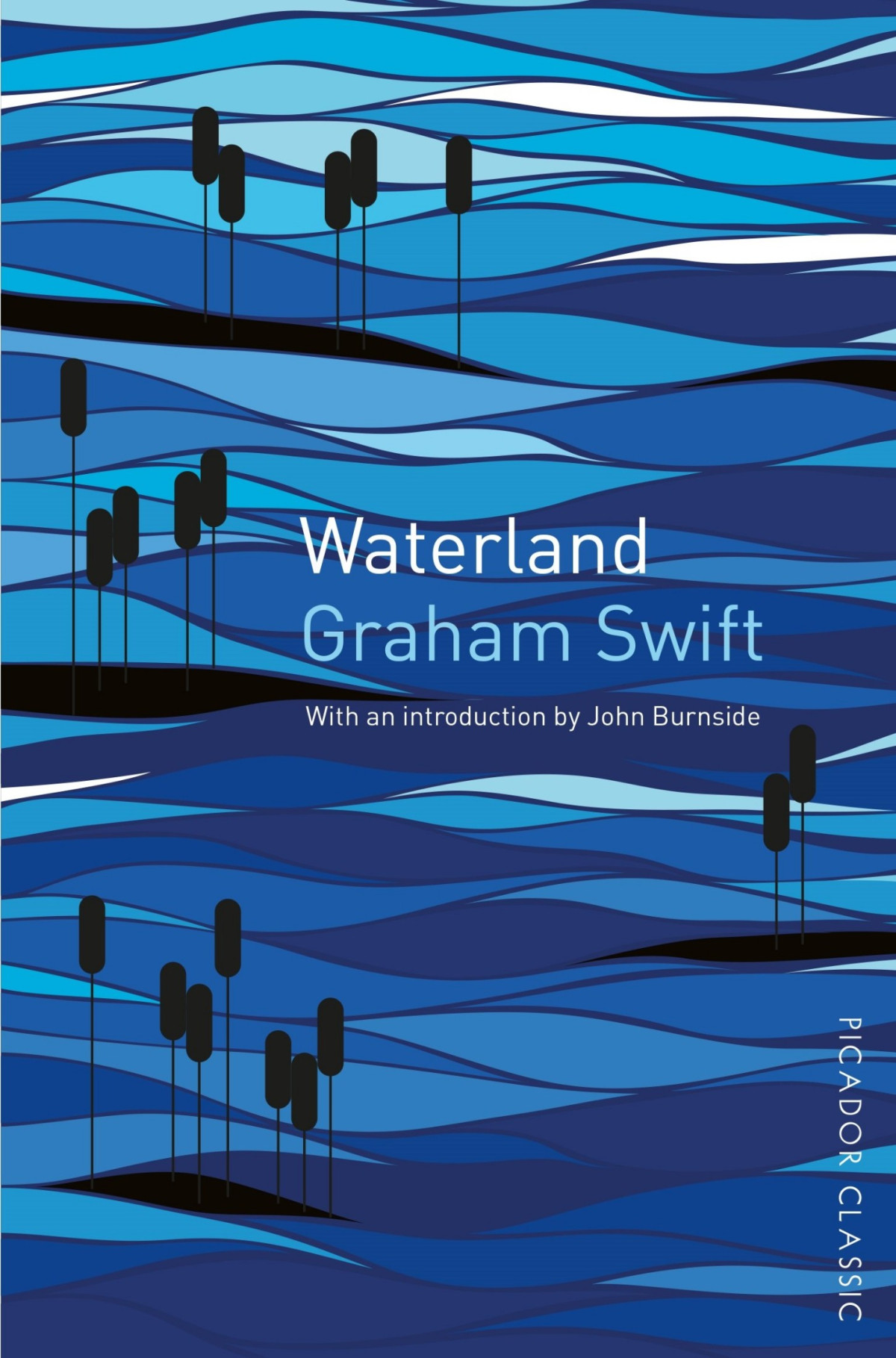 Waterland Graham Swift