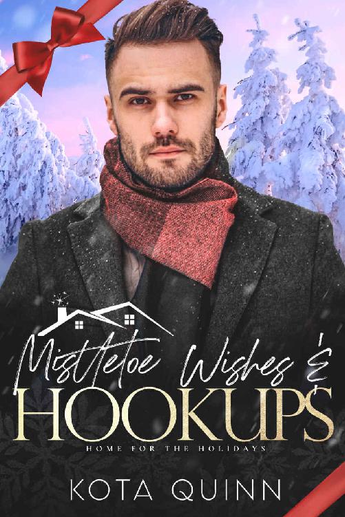Mistletoe Wishes Hookups Kota Quinn