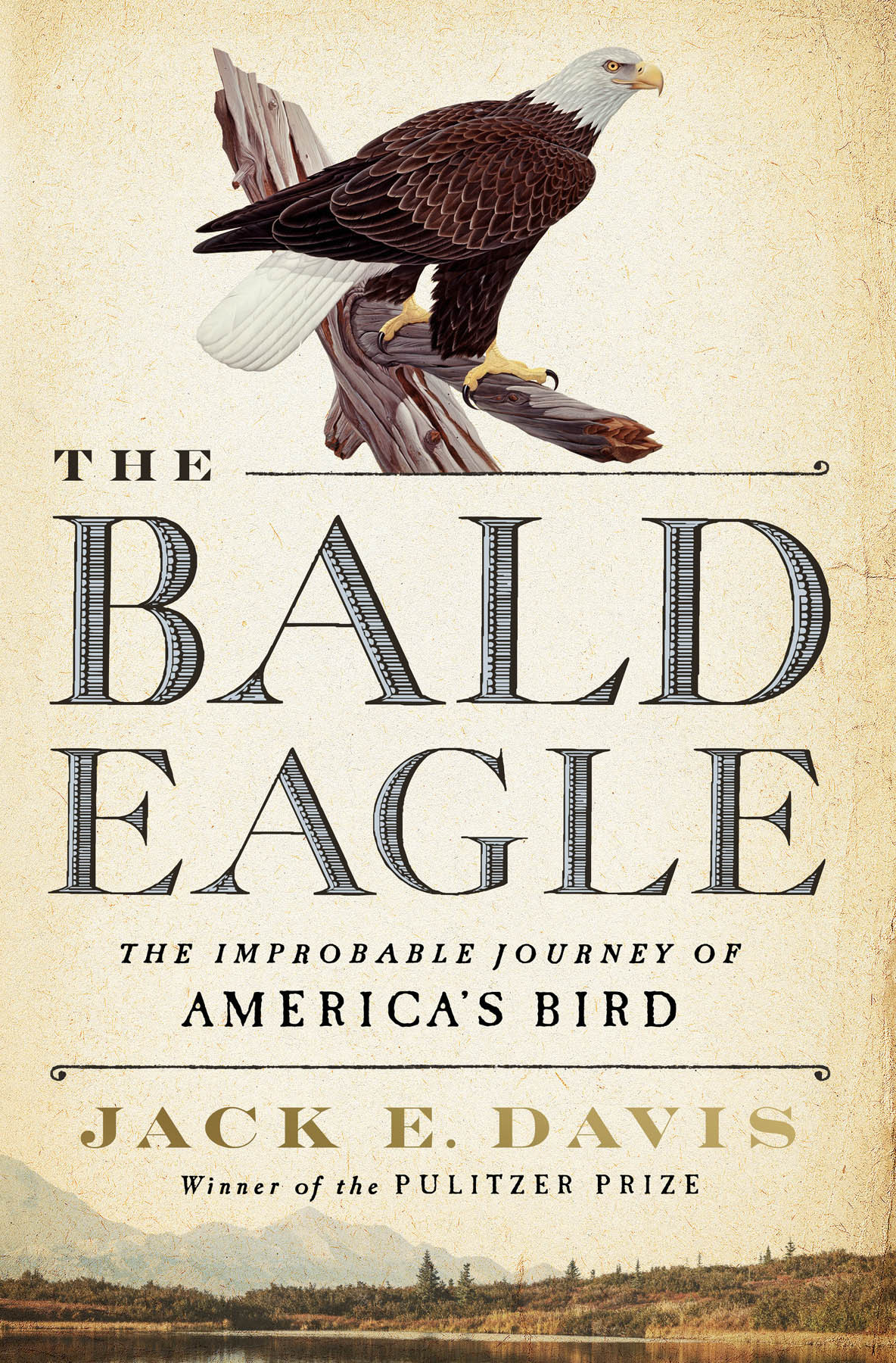 The Bald Eagle The Improbable Journey Of Americas Bird Jack E Davis