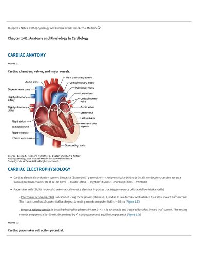 Hupperts Notes Pathophysiology And Clinical Pearls For Internal Medicine Online Laura Huppert