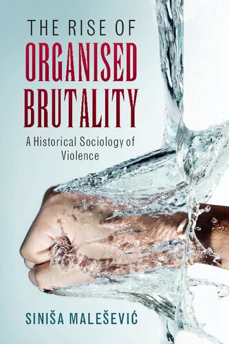 The Rise Of Organised Brutality A Historical Sociology Of Violence Sinia Maleevi