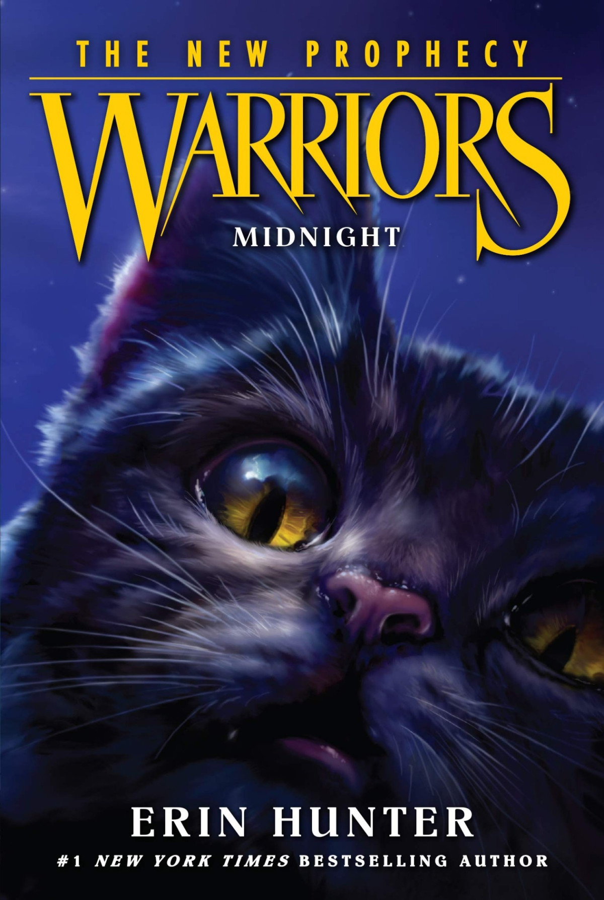 Warriors The New Prophecy 1 Midnight Erin Hunter
