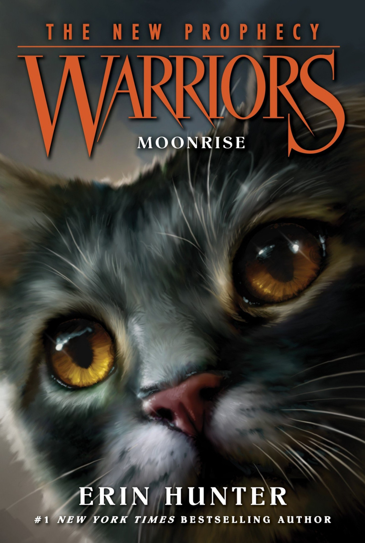 Warriors The New Prophecy 2 Moonrise Erin Hunter