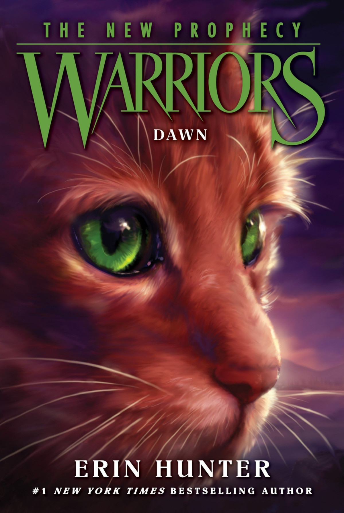 Warriors The New Prophecy 3 Dawn Erin Hunter