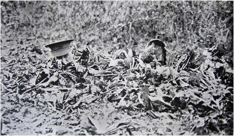 Sniping In France 191418 With Notes On The Scientific Training Of Scouts Observers And Snipers Hesketh Vernon Hesketh Prichard