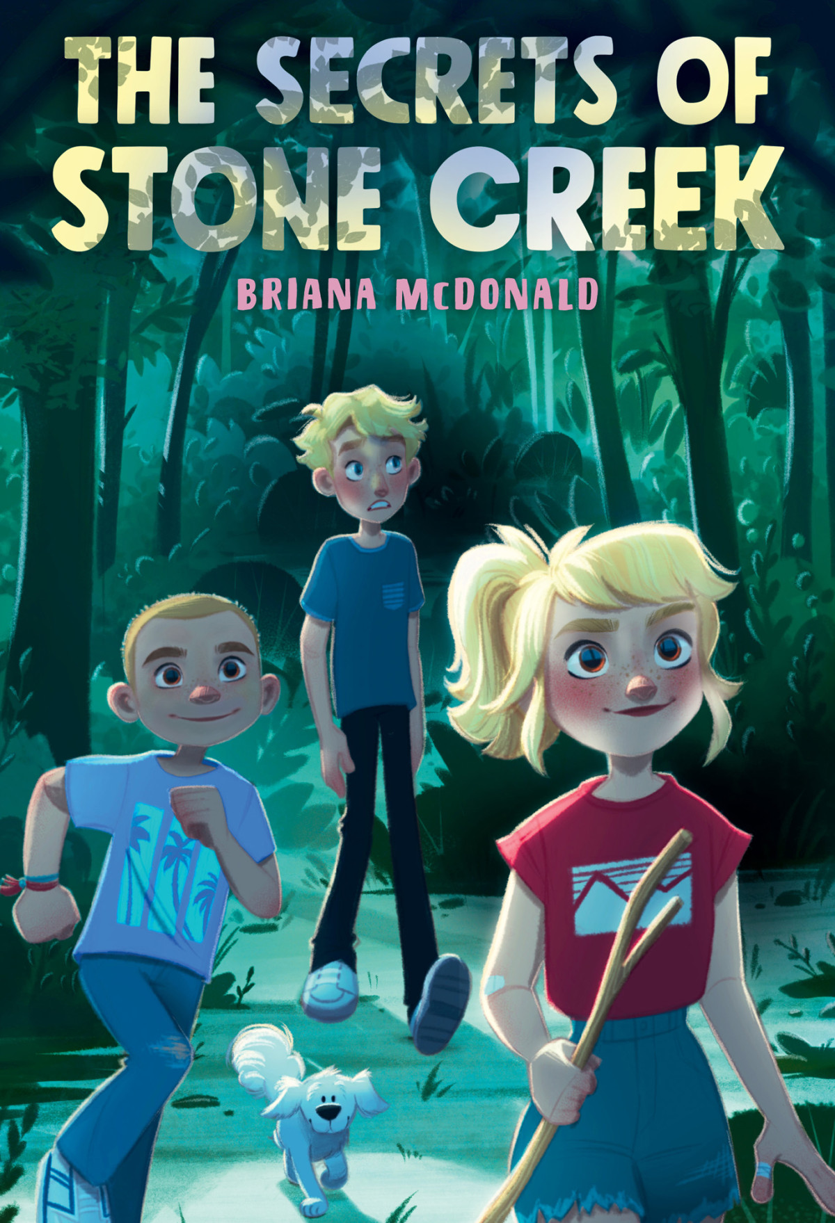 The Secrets Of Stone Creek 1st Edition Briana Mcdonald