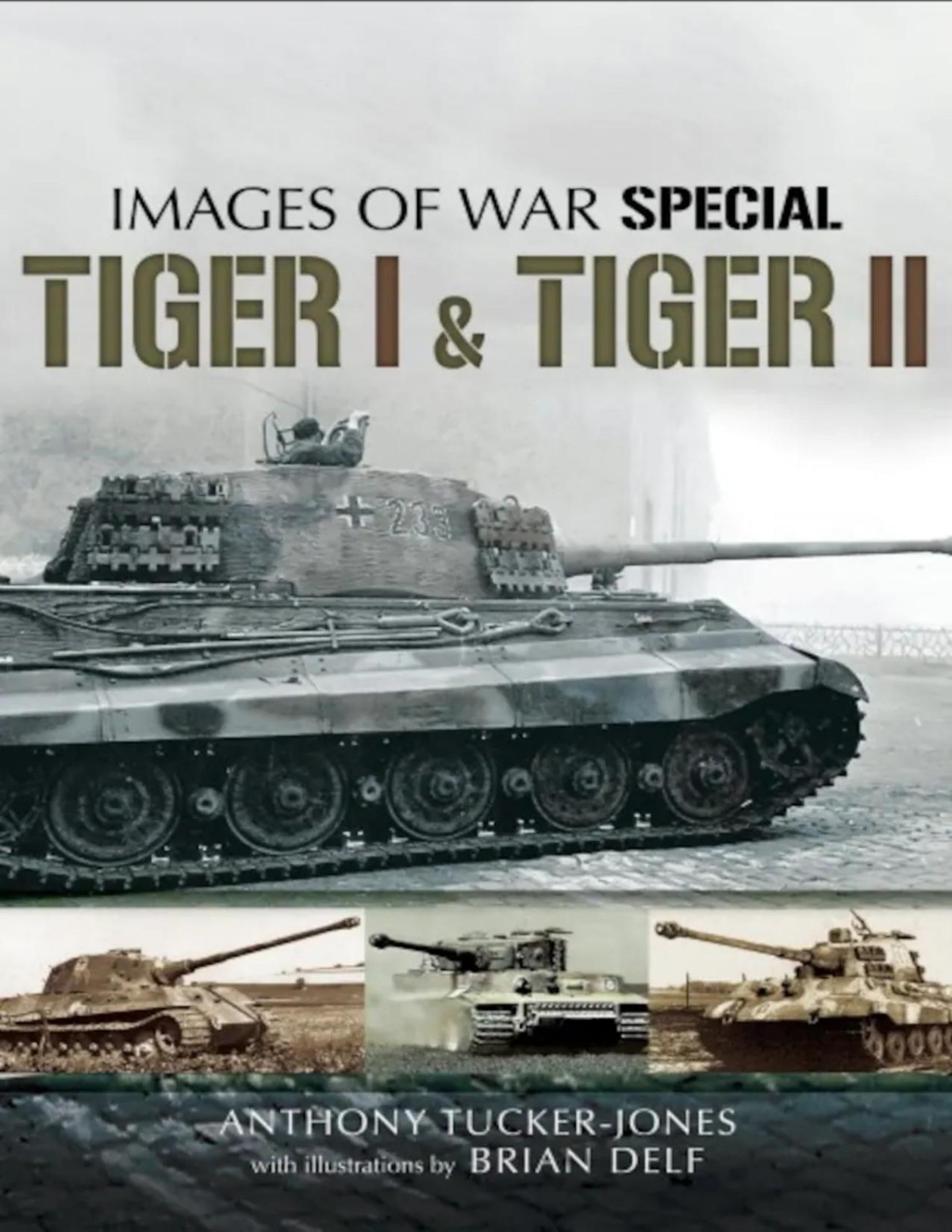 Tiger I Tiger Ii Anthony Tuckerjones