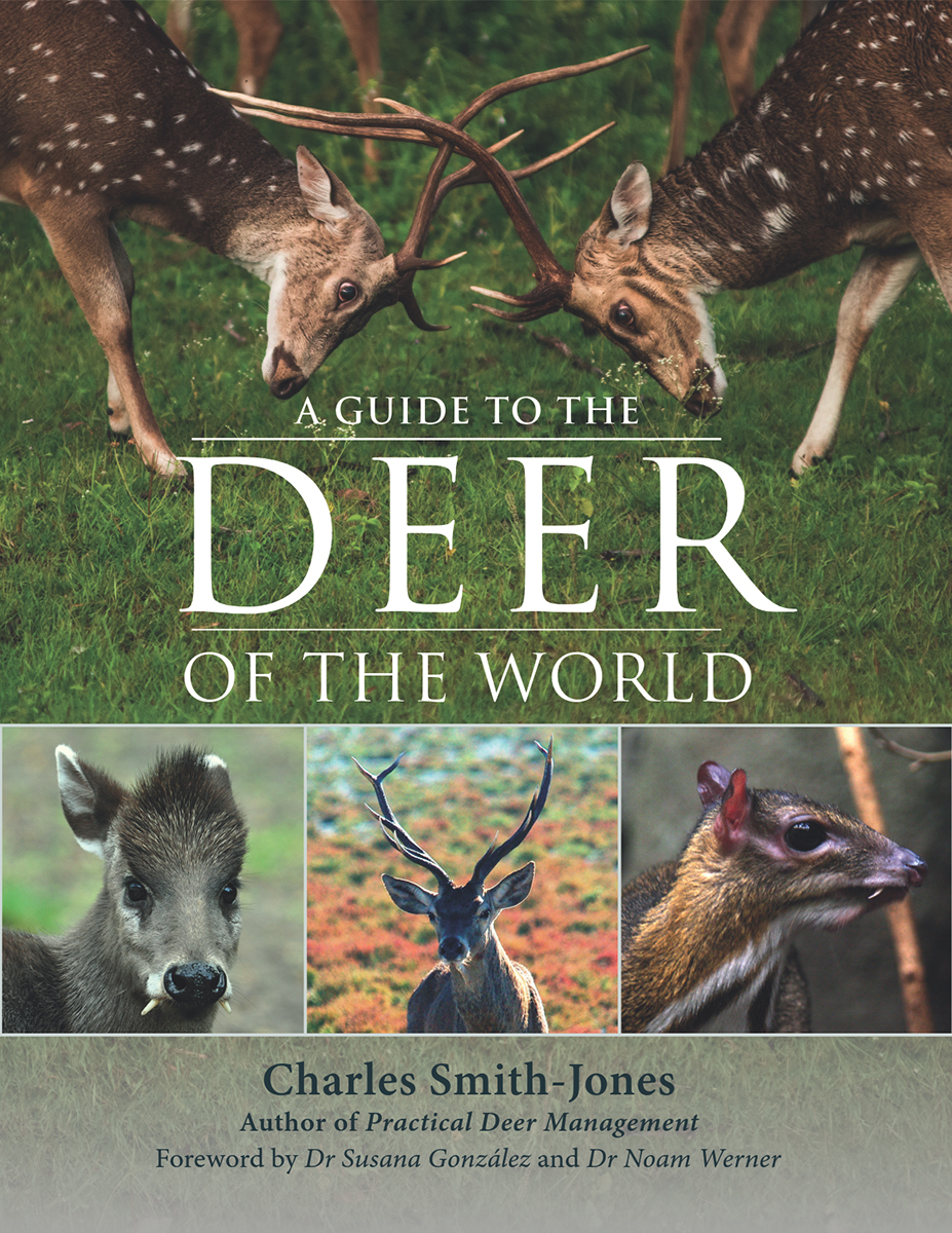 Deer Of The World Charles Smithjones