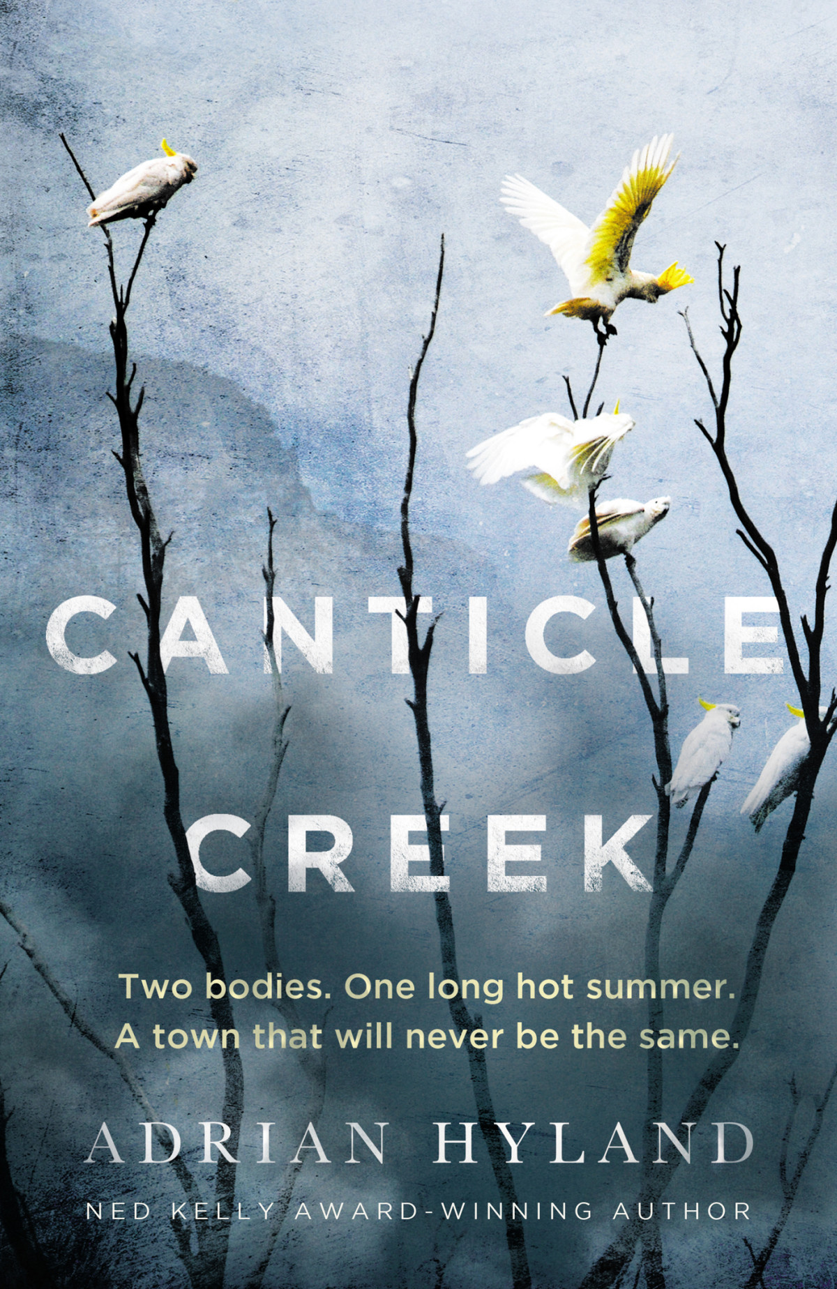 Canticle Creek I Adrian Hyland