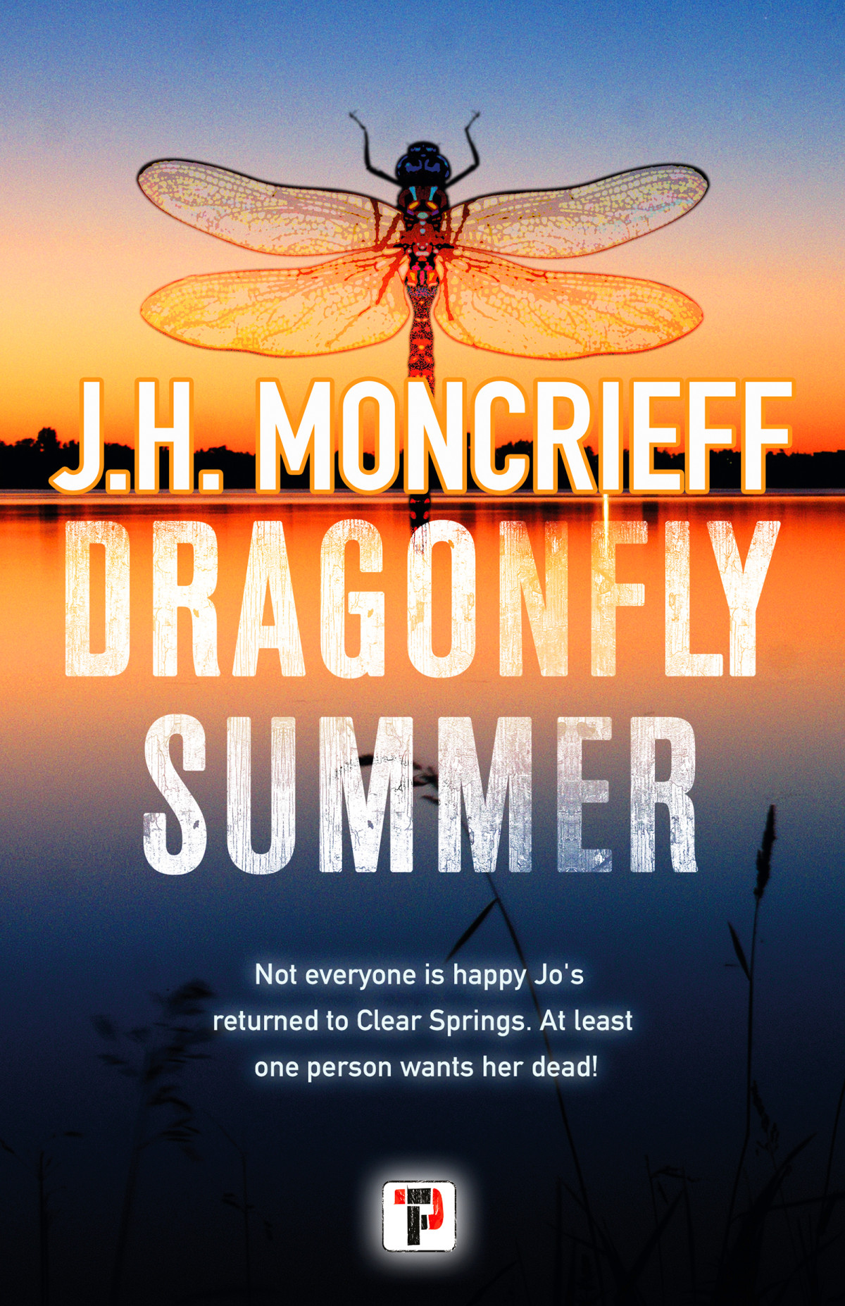 Dragonfly Summer Jh Moncrieff
